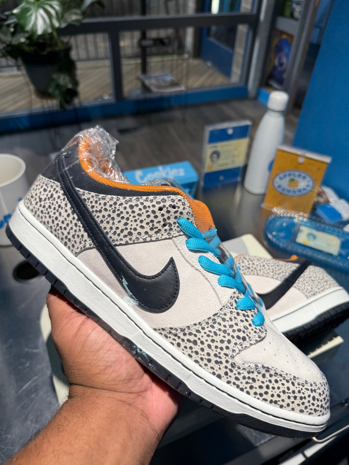 Dunk Low Pro SB 'Electric Pack'